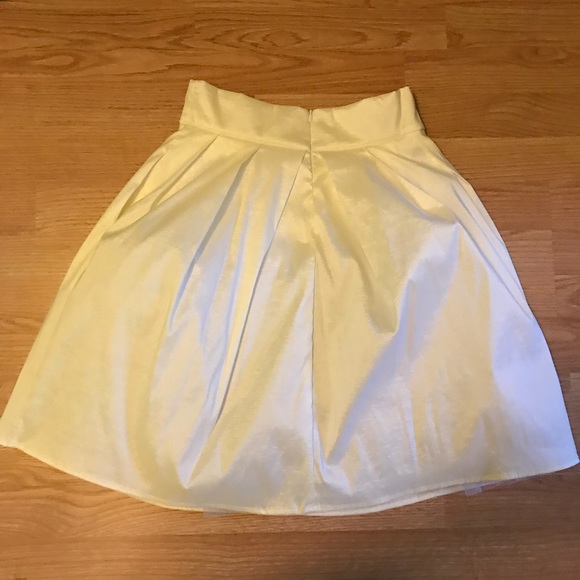 Fun, Fully Lined Midi Skirt NWOT - Picture 3 of 5